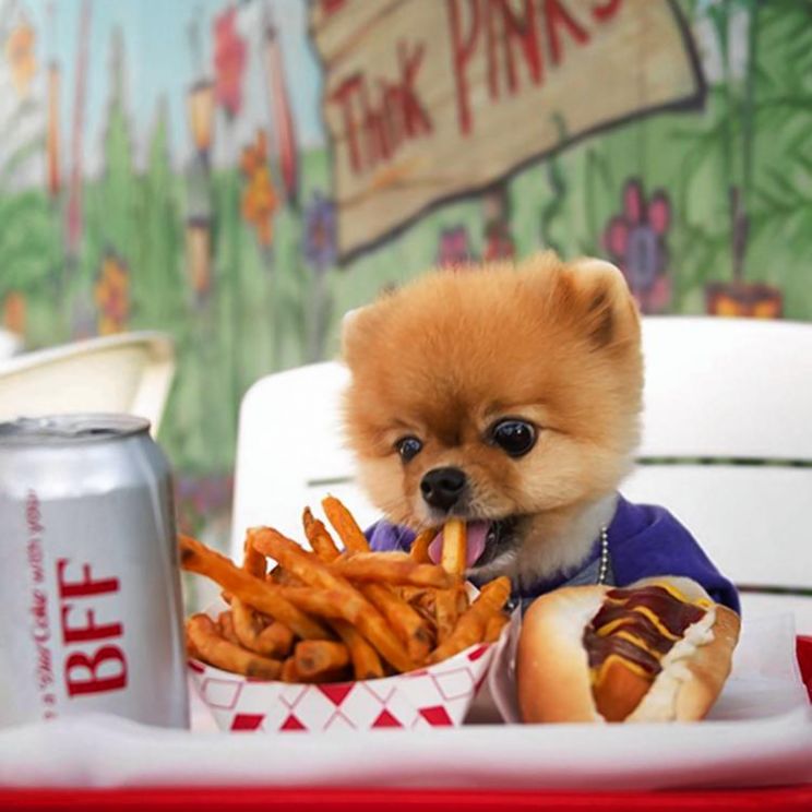 Jiff