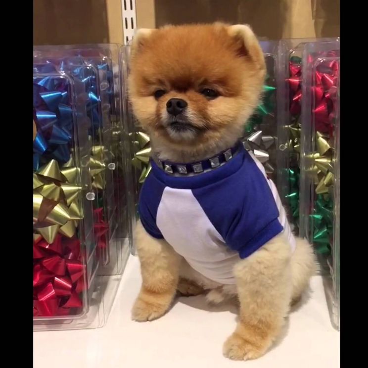 Jiff