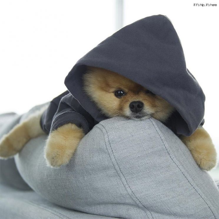 Jiff