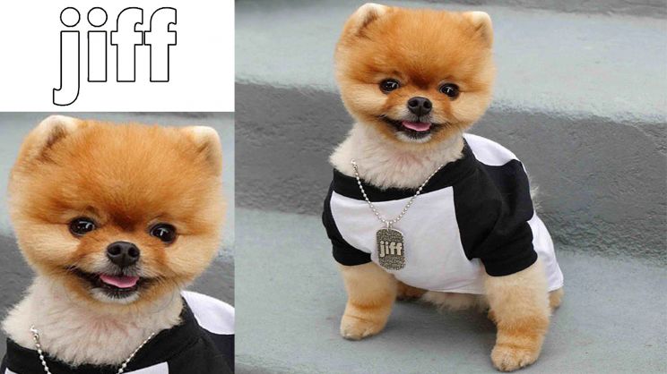 Jiff