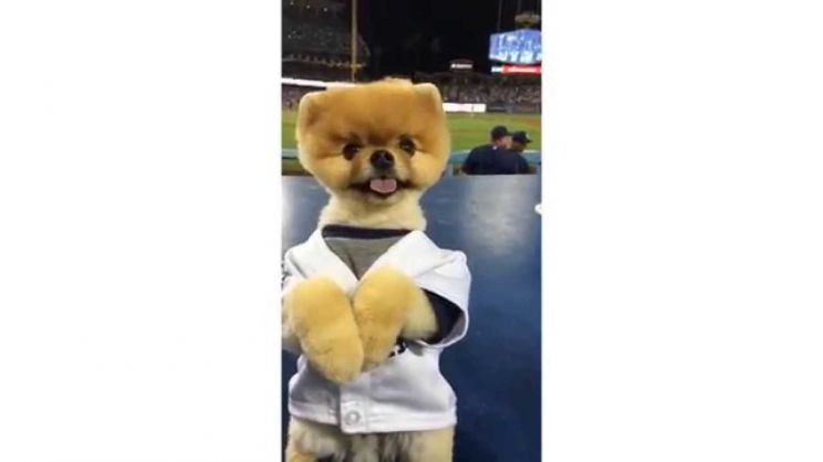 Jiff
