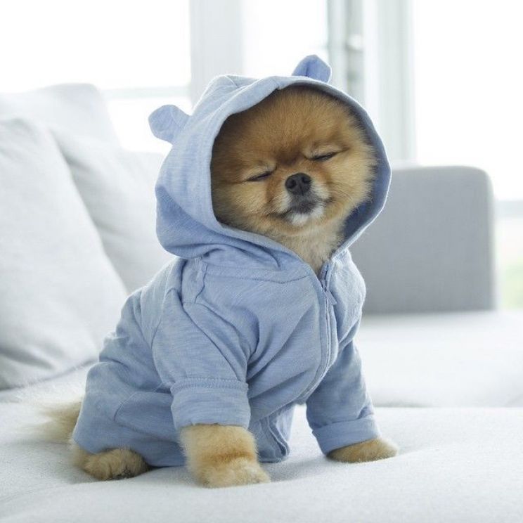 Jiff