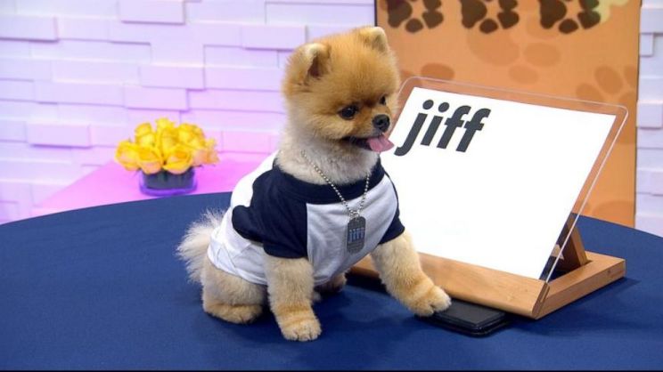 Jiff