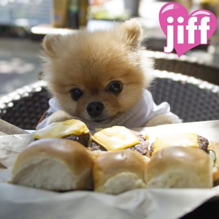 Jiff