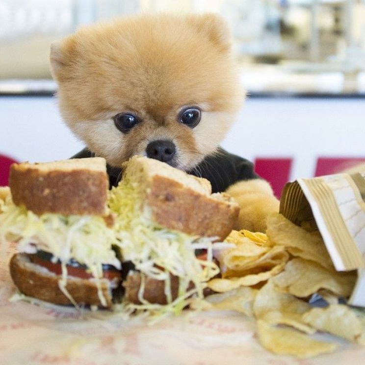 Jiff