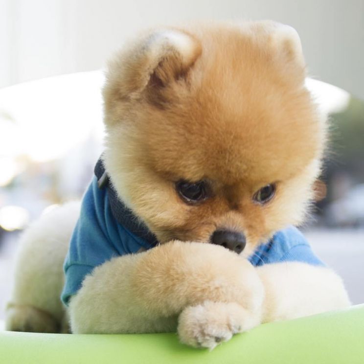 Jiff