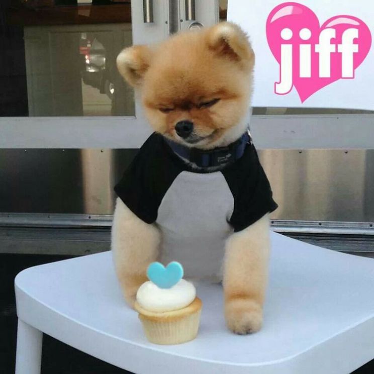 Jiff