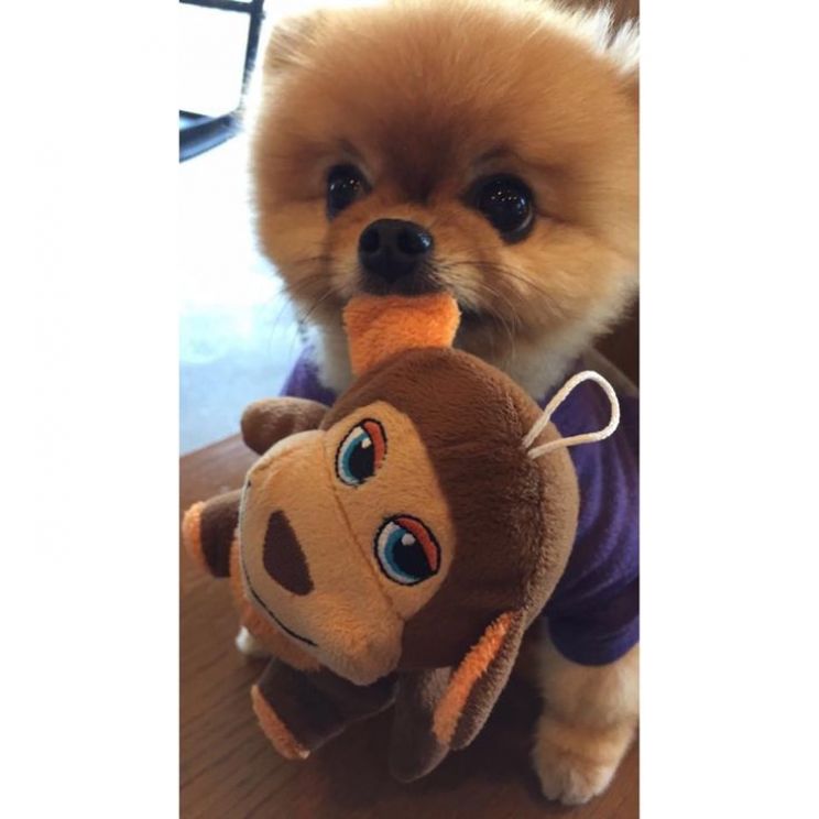 Jiff