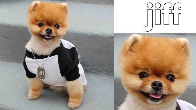 Jiff