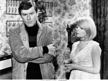 Jill Haworth