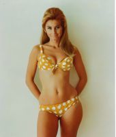Jill Jaress