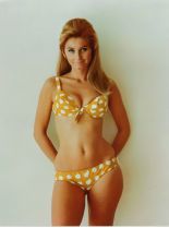 Jill Jaress