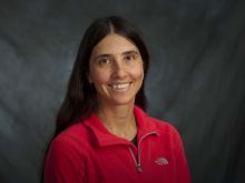 Jill Novick