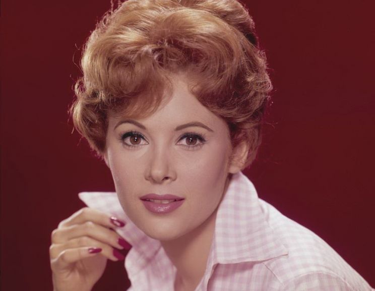 Pictures of Jill St. John
