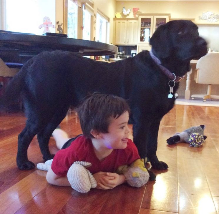 Jill the Dog