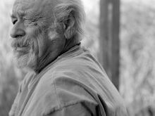 Jim Harrison