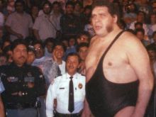 Jim Hellwig