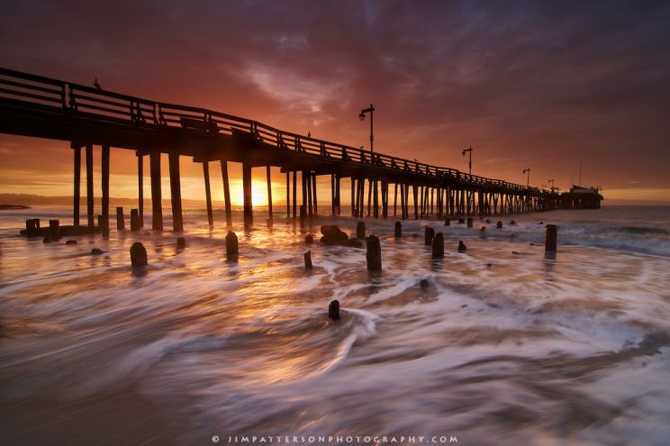 Jim Patterson