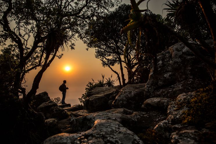 Jimmy Chin