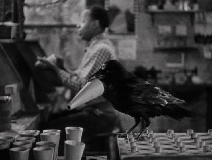 Jimmy the Crow