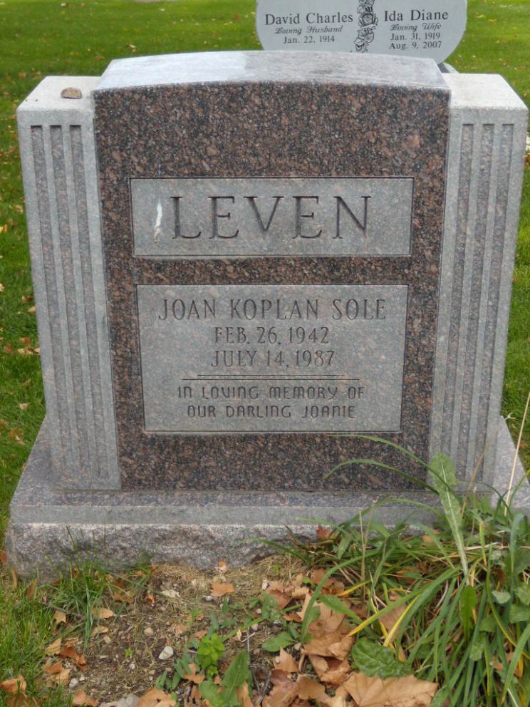 Joan Koplan