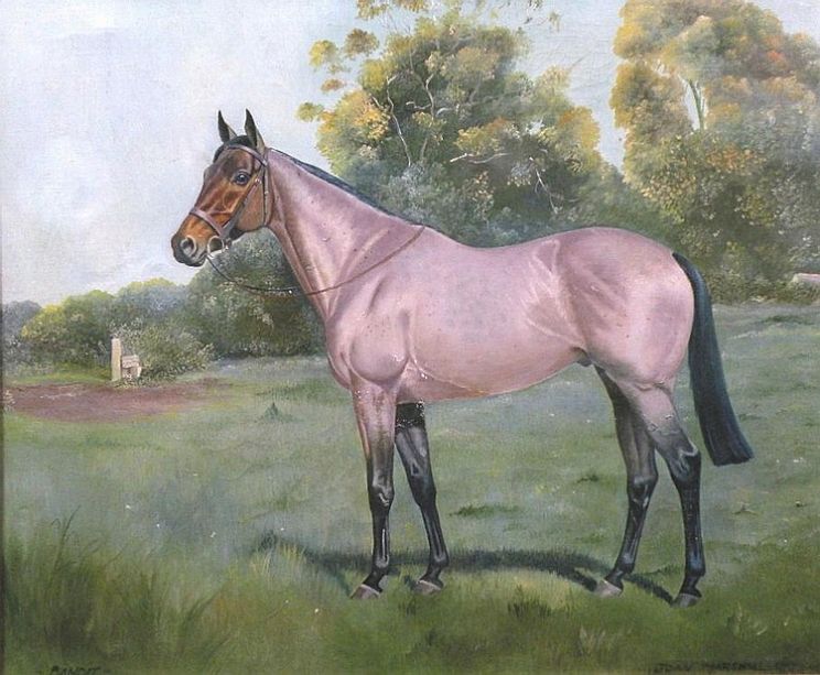 Joan Marshall