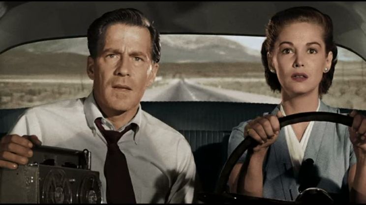 Joan Taylor