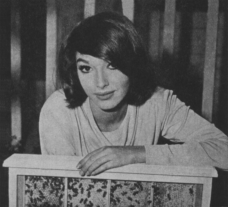 Joanna Frank