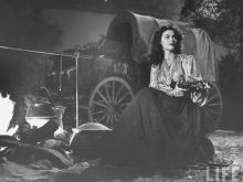 Joanne Dru photo