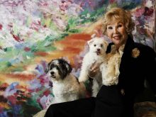 Joanne King