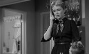 Jocelyn Brando