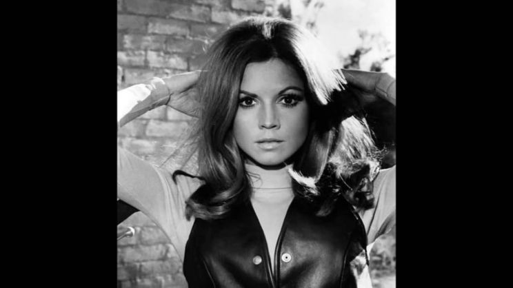 Jocelyn Lane