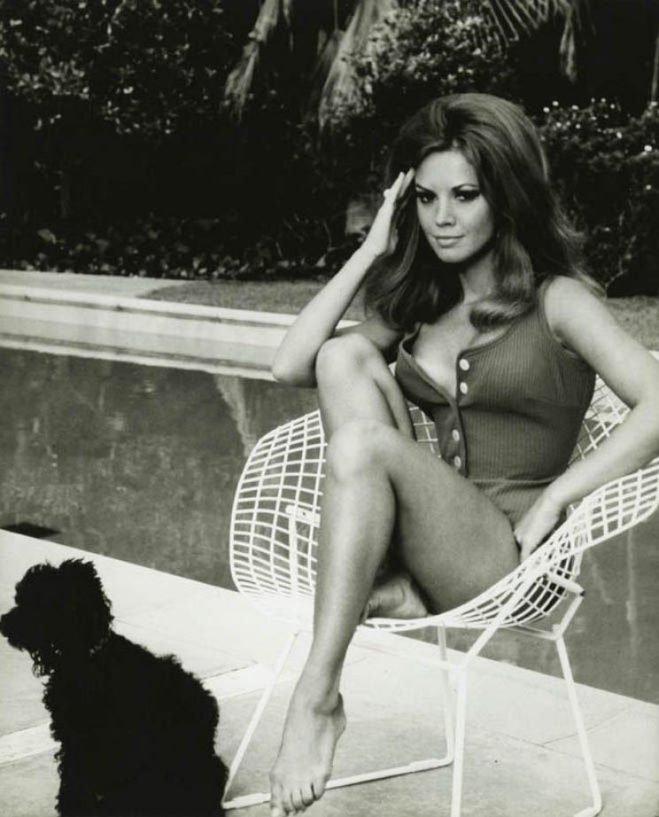 Jocelyn Lane