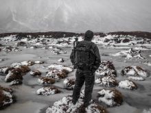 Joe Cornish