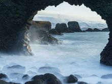 Joe Cornish