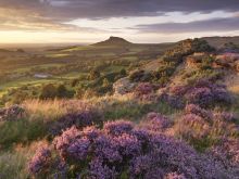 Joe Cornish