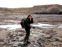 Joe Cornish