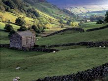 Joe Cornish