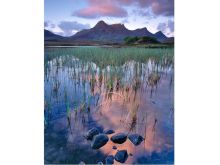 Joe Cornish