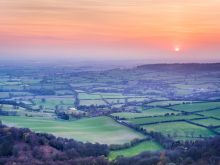 Joe Cornish