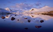 Joe Cornish