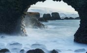 Joe Cornish