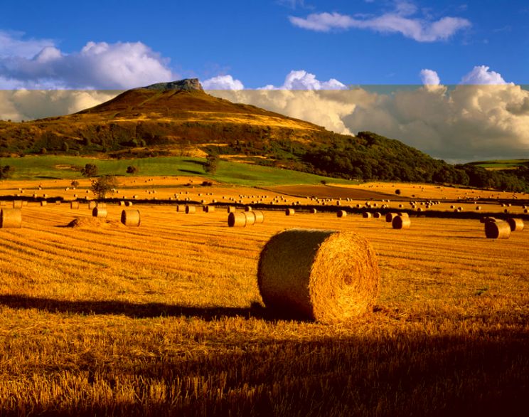 Joe Cornish