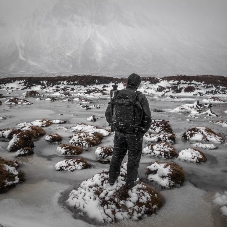 Joe Cornish