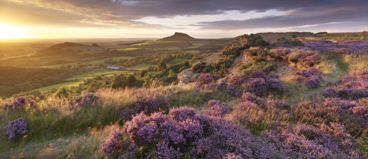 Joe Cornish