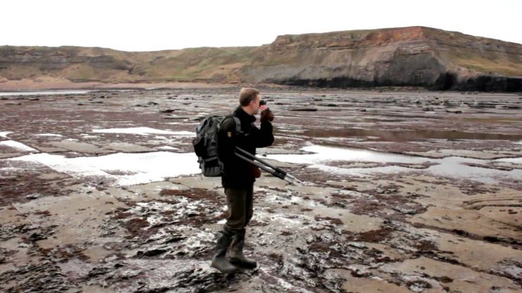 Joe Cornish