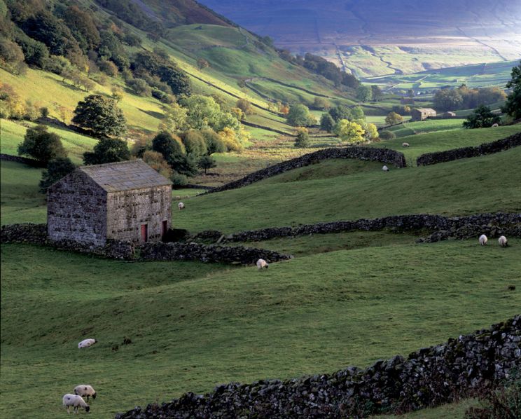 Joe Cornish