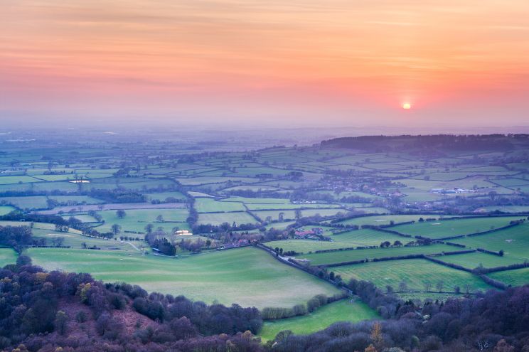 Joe Cornish
