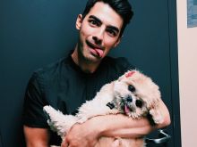 Joe Jonas