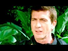 Joe Lando